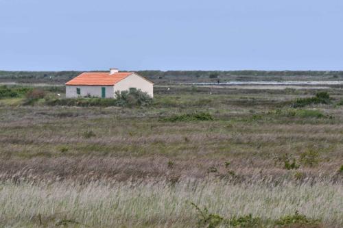 Polder de Sébastopol (Noirmoutier)