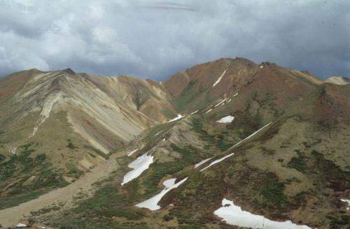 Parc national de Denali