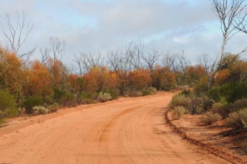 Piste pour revenir à la route bitumée (en quittant Gluepot, elle passe par plusieurs fermes). 