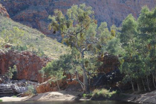 Gorge de Ormiston dans le parc national de West MacDonnell