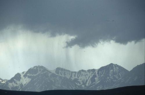 Entre Denali et Fairbanks