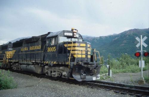 Entre Denali et Fairbanks