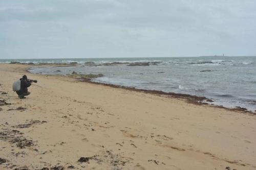 Pointe de l'Herbaudière (Noirmoutier)
