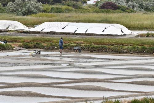 Marais salants de Mullembourg