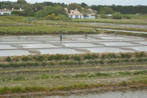 Marais salants de Mullembourg