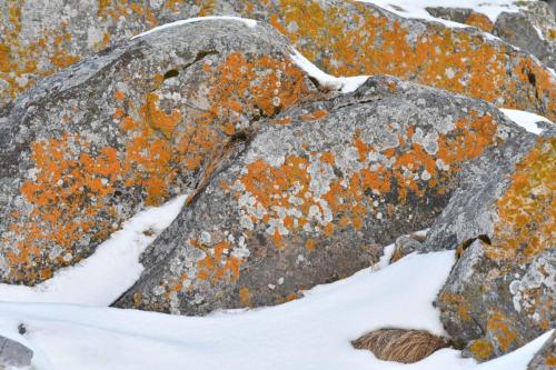 Bord de mer à Laukvik