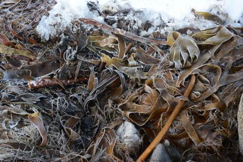 Bord de mer à Laukvik