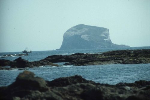 Bass rock