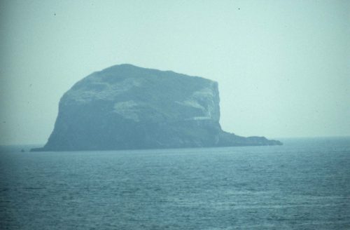 Bass rock