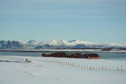 Cabanes de pêcheurs