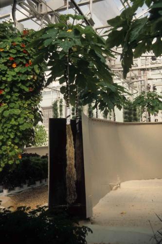 Parc d'attraction Epcot prés d'Orlando