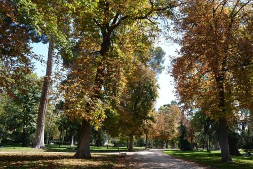 Parc del Buen Retiro 