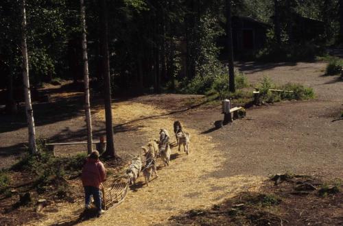 Fairbanks - Ecomusée