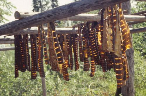 Fairbanks - Ecomusée