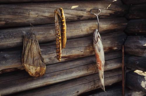 Fairbanks - Ecomusée