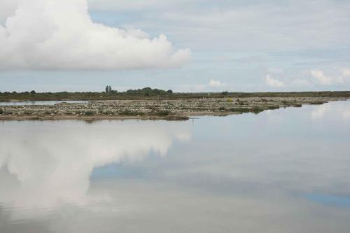 Polder de Sébastopol