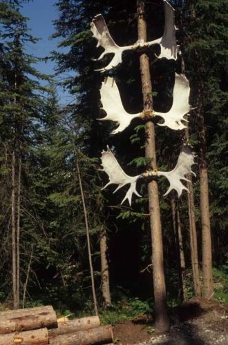 Fairbanks - Ecomusée