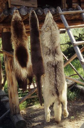 Fairbanks - Ecomusée