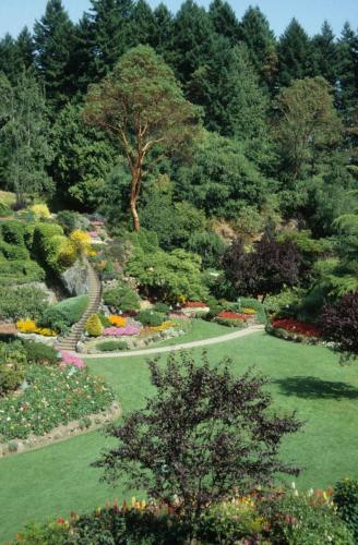 Butchards gardens