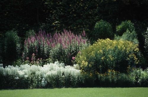 Butchards gardens