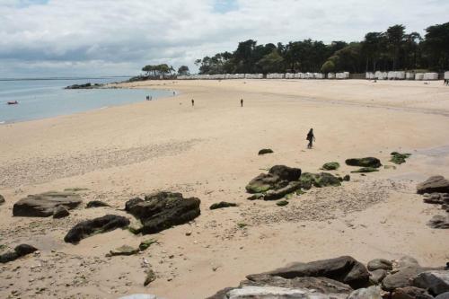 Bois de la chaise, plage des dames (Noirmoutier)