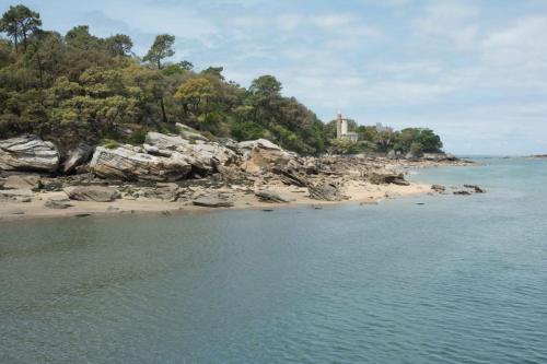 Bois de la chaise (Noirmoutier)