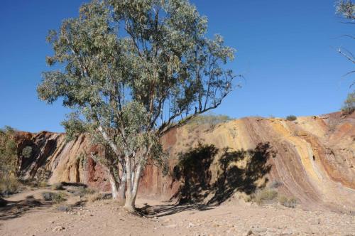 Parc national de West MacDonnell - Ochre pits