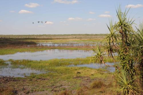 Fogg Dam conservation reserve