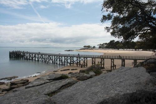 Bois de la chaise (Noirmoutier)