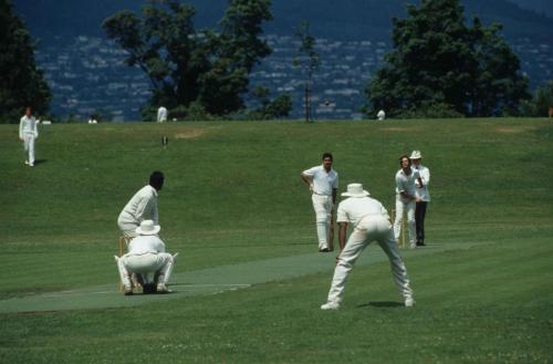 Joueurs de Cricket à Victoria