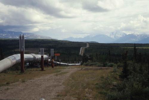 Entre Fairbanks et Wrangell-St Elias - trans alaska Pipeline