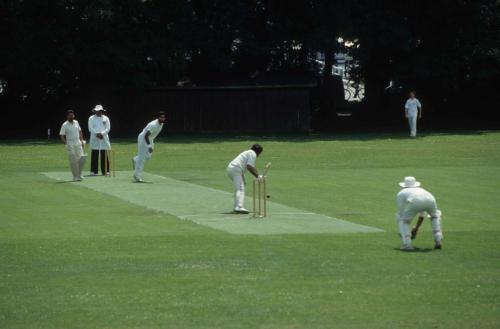 Joueurs de Cricket à Victoria