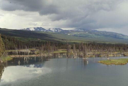 Entre Fairbanks et Wrangell-St Elias