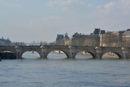 Pont Neuf, Louvre