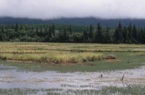 Parc national de Wrangell-St Elias