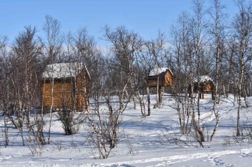 Parc national d'Abisko