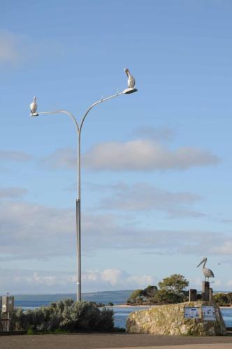 Il y a des pélicans partout, en statue et en vrai sur les lampadaires