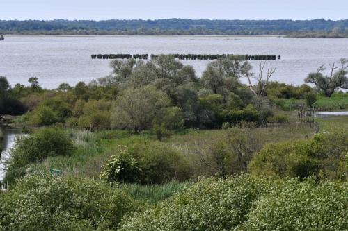 Vue sur le lac de Grand-Lieu depuis Passay