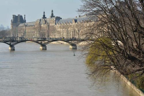 Pont des Arts (1984), le Louvre