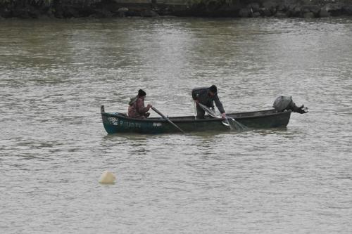 Pêcheurs de harengs sur le canal Sulina