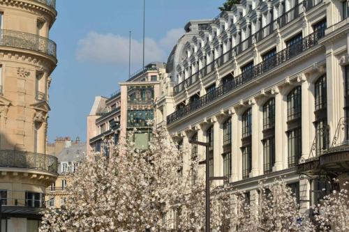 Louis Vuitton Dream (2022), rue du Pont Neuf