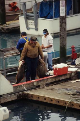 Pêche miraculeuse à Valdez (flétan)