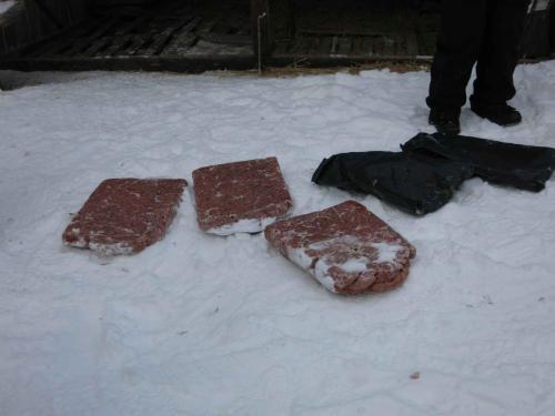 La viande congelée pour les chiens