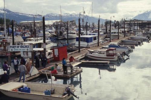 Pêche miraculeuse à Valdez (flétan)