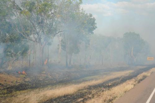 Feu maitrisé au bord de la route pour éliminer les broussailles