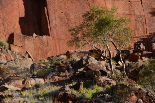 Parc national de West MacDonnell - Glen Ellen Gorge