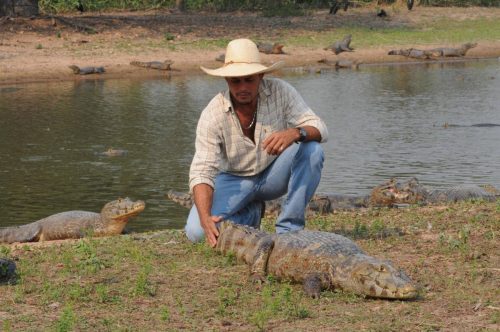Notre guide Branco, titillant un caiman