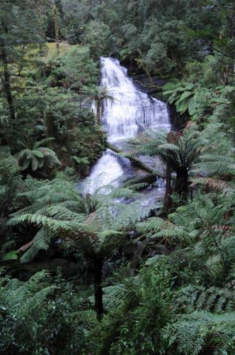 Triplet Falls dans le parc national de Otway