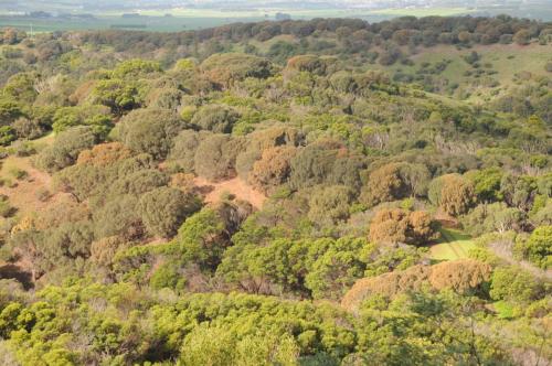 Réserve naturelle de Tower Hill