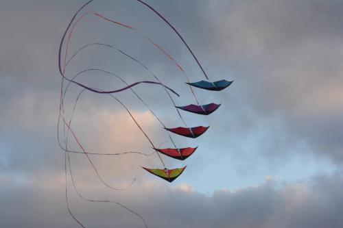 Cerf-volant